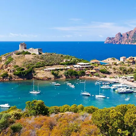 Le Marie Louise - Bord De Lle Rousse Calvi Est *